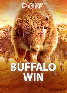 สนุกสนานไปกับดู พรีเมียร์ ลีก aisSLOT ยังไงให้คุ้มค่า!